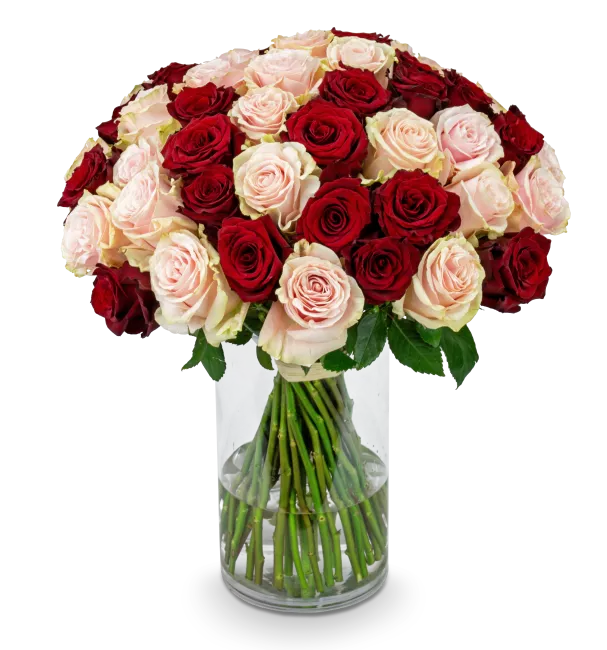 Bouquet of pink and red roses